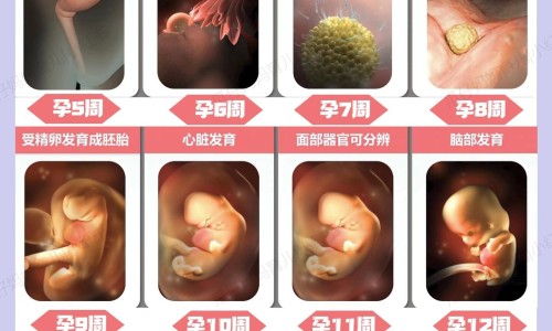 进口阿奇霉素分散片说明书网 - 为你提供阿奇霉素分散片进口药商品名、进口阿奇霉素片价格表